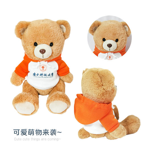 南科大新款学霸熊 商品图2