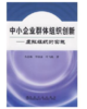 中小企业群体组织创新__虚拟组织的实施/方志梅 李国富 叶飞帆 商品缩略图0