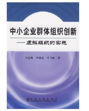 中小企业群体组织创新__虚拟组织的实施/方志梅 李国富 叶飞帆 商品图0