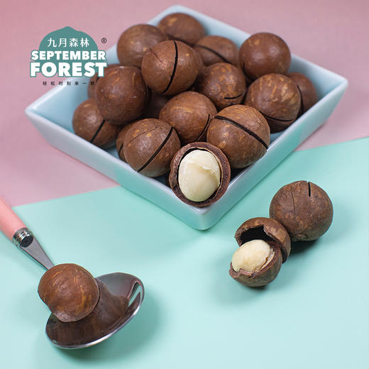 九月森林夏威夷果500g罐装奶香味新货干果孕妇儿童坚果 商品图1