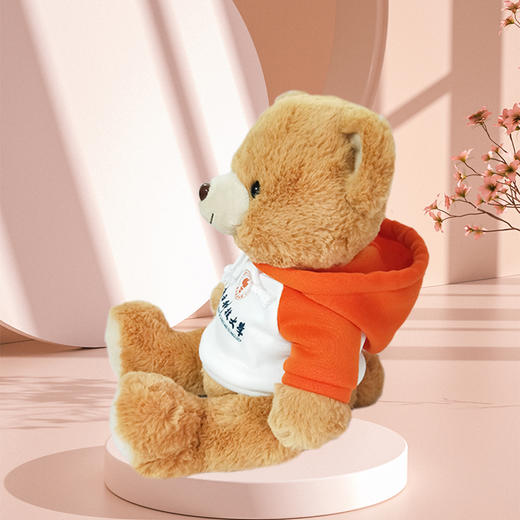 南科大新款学霸熊 商品图1