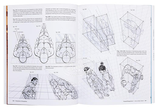【中商原版】Framed Perspective Vol. 2 进口艺术 框架视角2 商品图6
