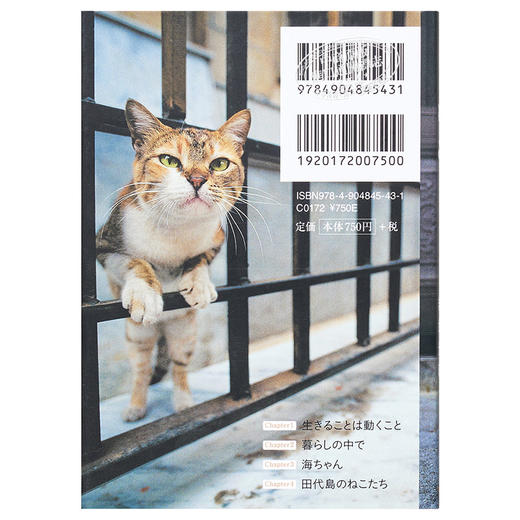 【中商原版】猫 萌猫摄影集 日文原版 ねこ 岩合光昭 クレヴィス 进口图书 日本代表性的动物摄影师 商品图1