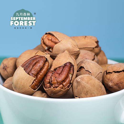 九月森林中秋新货碧根果450g罐装长寿果无添加核桃 商品图2