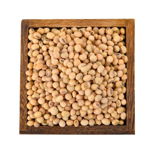 黄豆（散装）500g 商品图1