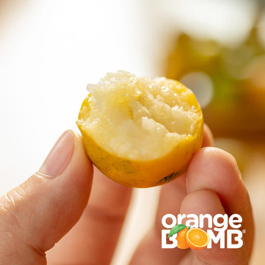 价格大跳水，最后一周！高甜度浓郁脆皮金桔  吃完满嘴清香 顺丰快递 商品图6