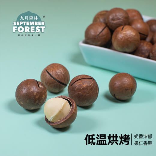 九月森林夏威夷果500g罐装奶香味新货干果孕妇儿童坚果 商品图4