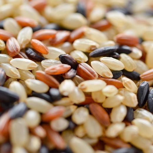 三色糙米（散装）500g/袋 商品图4