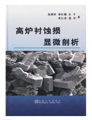 高炉衬蚀损显微剖析/高振昕 商品图0