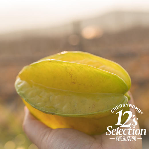 清香多汁淡甜 软枝杨桃4.5-5斤装 京东快递 商品图9