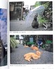 【中商原版】猫 萌猫摄影集 日文原版 ねこ 岩合光昭 クレヴィス 进口图书 日本代表性的动物摄影师 商品缩略图4