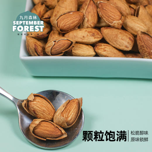 九月森林手剥巴旦木新货扁桃仁孕妇干果零食500g罐装 商品图0