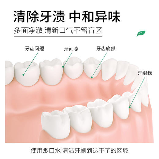 「一盒20条！9.9元包邮」梵贞薄荷清凉漱口水清新口腔呵护牙齿清洁护理一次性涑口水便携式 商品图3