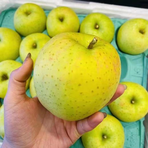 日本青森王林苹果6颗份单果约250g日本青森县口碑香气入口忘不掉高