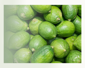 香水柠檬 | 新品气泡香薰中的重要伙伴