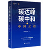 碳达峰碳中和的中国之道 庄贵阳 著 透视碳达峰碳中和解码中国低碳发展之路 商品缩略图1