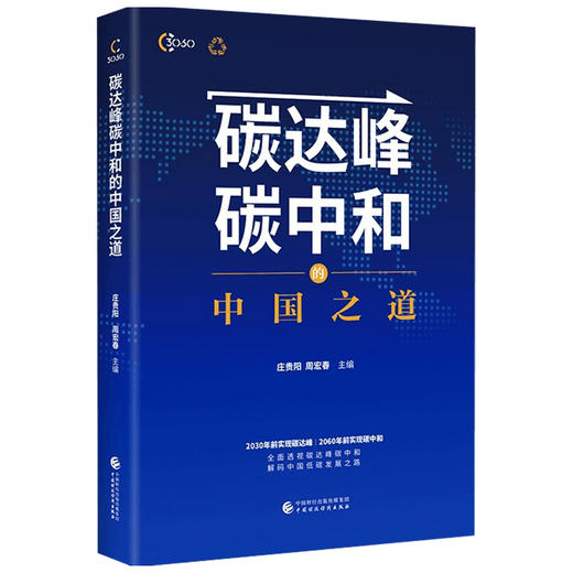 碳达峰碳中和的中国之道 庄贵阳 著 透视碳达峰碳中和解码中国低碳发展之路 商品图1