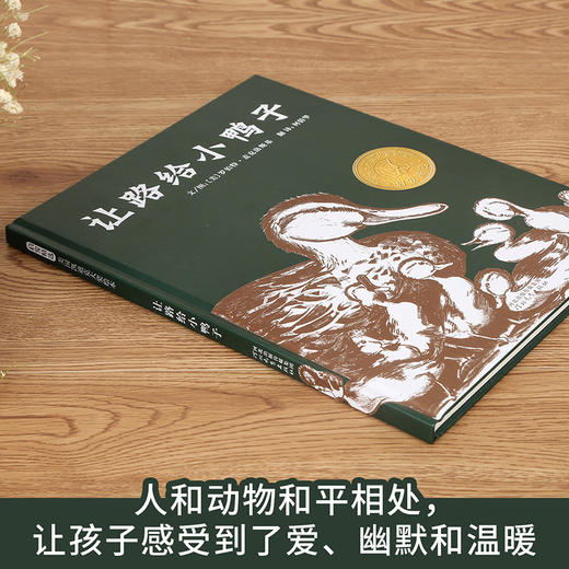 【爱护自然系列】让路给小鸭子 商品图2