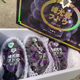 石原巨峰峰尤君葡萄新鲜到货，甜蜜多汁，简直是葡萄控的福利，颗粒硕大 果子超硬果粉很足