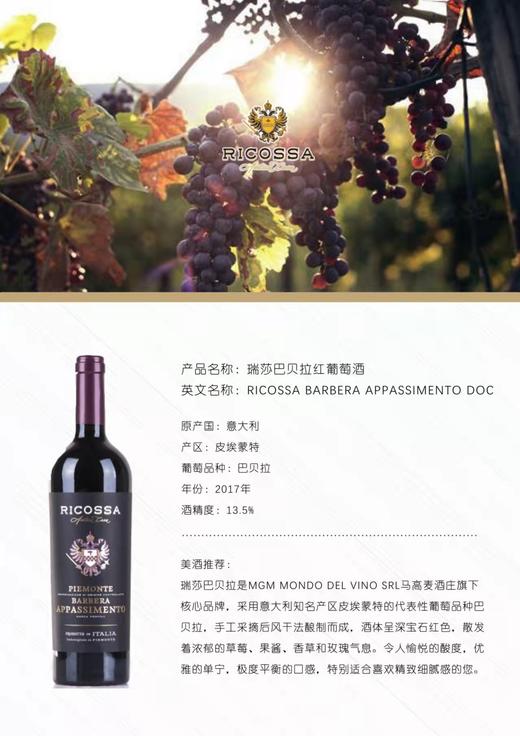 意大利瑞莎巴贝拉红葡萄酒750 ml   6瓶装 商品图1