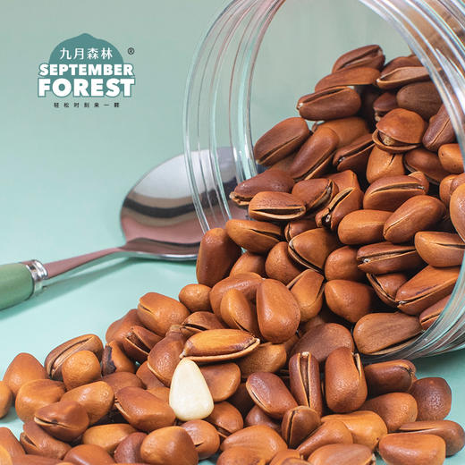 九月森林开口松子500g东北长白山松子2021年炒货孕妇大颗粒罐装 商品图2