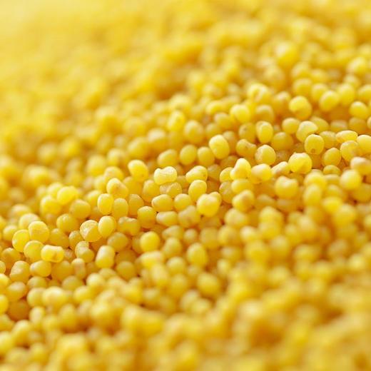 小米（散装）500g 商品图2