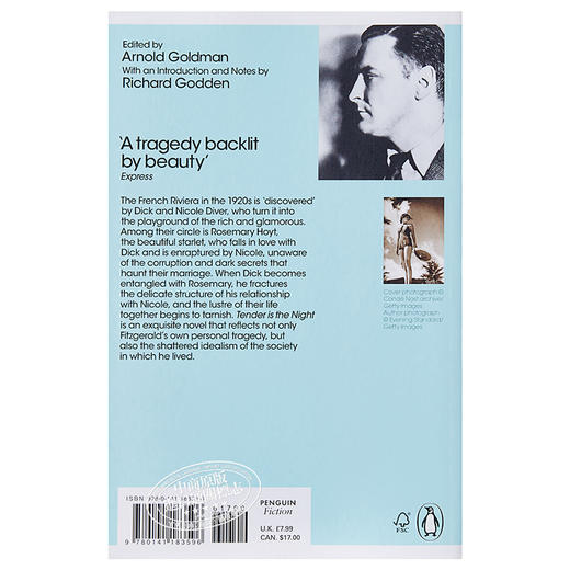 【中商原版】夜色温柔 英文原版 Tender is the Night  Scott Fitzgerald 商品图1