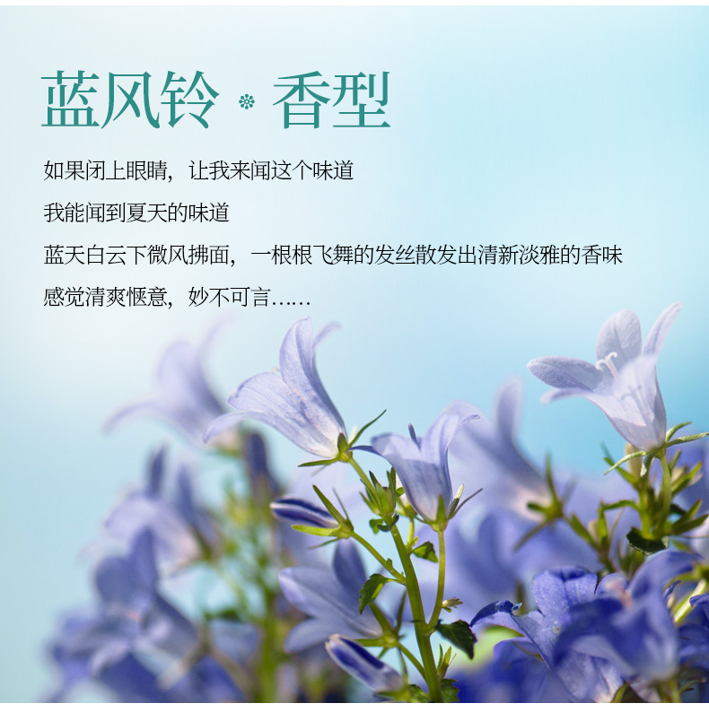 柏缇-蓝风铃 蓬松舒爽洗发露800ml