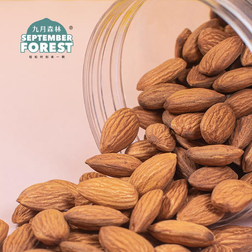 九月森林巴旦木仁原味坚果烘焙颗粒饱满500g罐装新货孕妇零食 商品图0