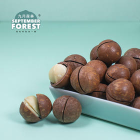 九月森林夏威夷果500g罐装奶香味新货干果孕妇儿童坚果