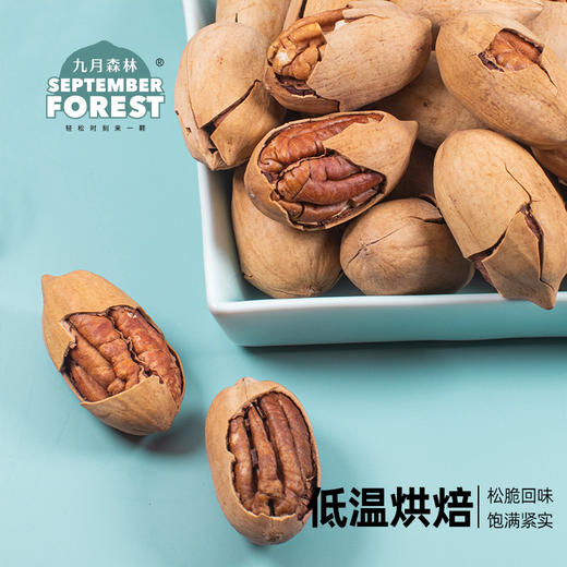 九月森林中秋新货碧根果450g罐装长寿果无添加核桃 商品图4