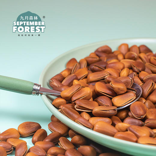 九月森林开口松子500g东北长白山松子2021年炒货孕妇大颗粒罐装 商品图3