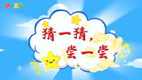 2022年1月 动画  猜一猜，尝一尝