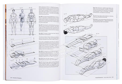 【中商原版】Framed Perspective Vol. 2 进口艺术 框架视角2 商品图7