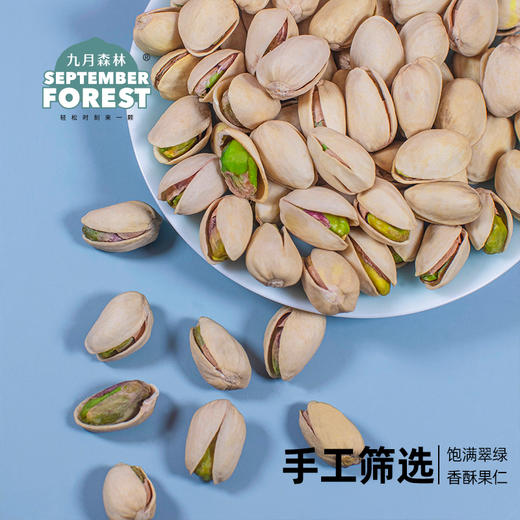 九月森林新货开心果罐装干果孕妇坚果500g无添加大颗粒盐焗味 商品图4