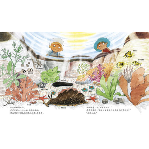 【爱护自然系列】一起在海边探险 商品图3