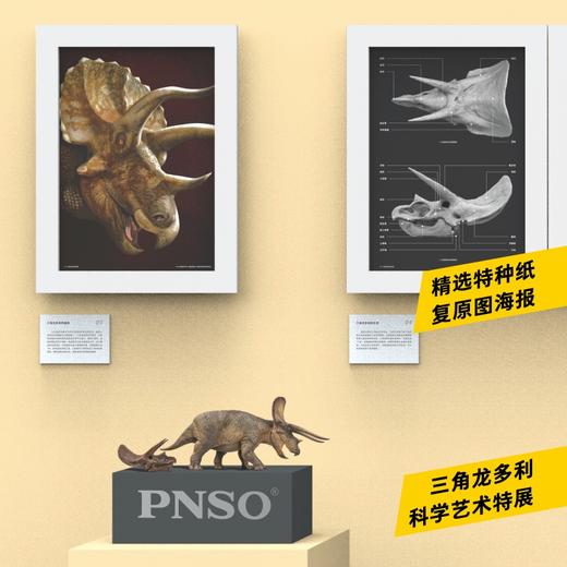 PNSO新版三角龙多利附三角龙头骨恐龙博物馆1比35科学艺术模型 商品图2