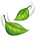 🍃