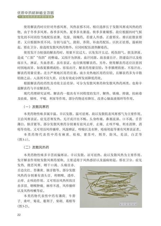 优质中药材种植全攻略 商品图4