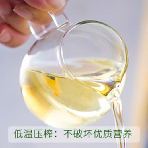 奥黛莉 加拿大进口OTELIA946ml装 芥菜籽油 保质期2026年（一般贸易） 商品图4