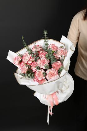 19朵康乃馨花束