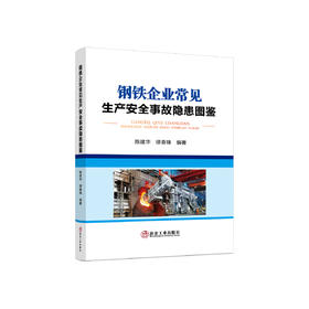 钢铁企业常见生产安全事故隐患图鉴/陈建华,缪春锋