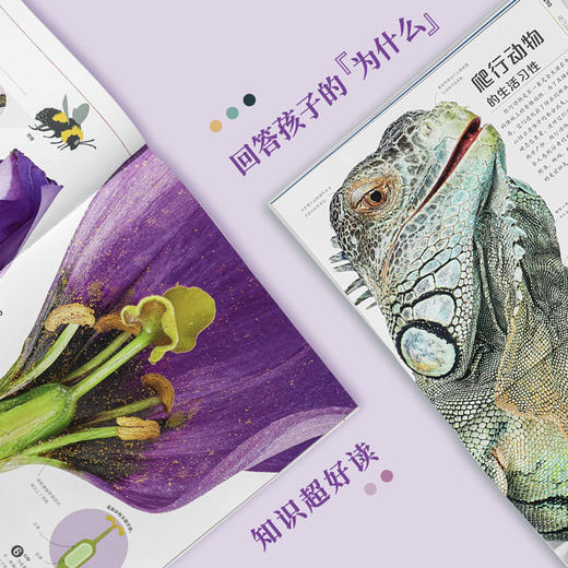 【新东方专享】DK自然运转的秘密（7岁以上） 商品图1