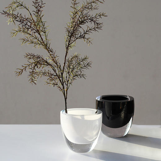 21年12月新款加厚小花瓶玻璃 商品图5