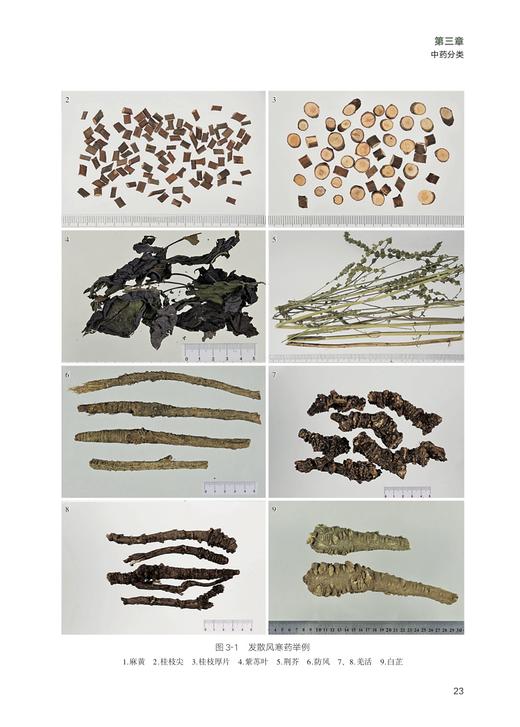 优质中药材种植全攻略 商品图5