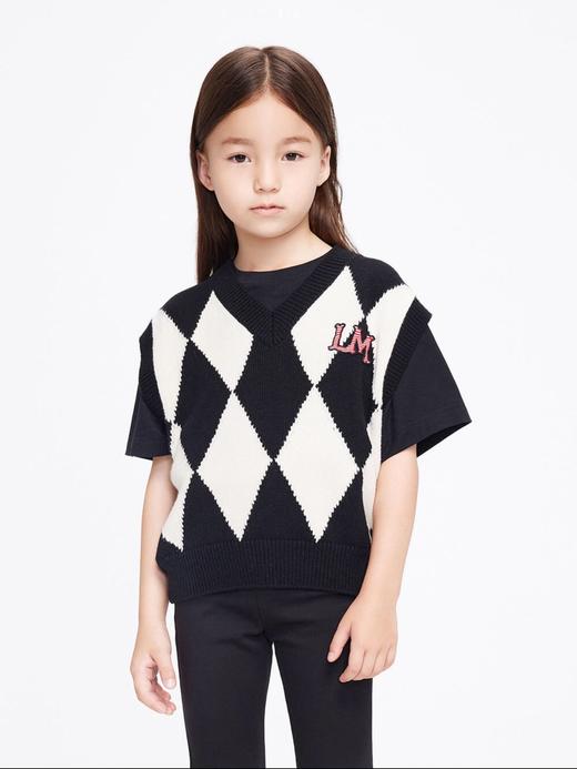 22年春季新品 美丽奴羊毛菱格绣花章仔毛织背心 商品图1