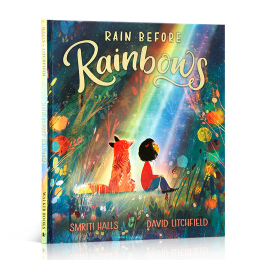 英文原版绘本 Rain Before Rainbows 彩虹前的雨 低幼儿童英语启蒙认知绘本 宝宝睡前故事书图画书 亲子互动共读早教书 商品图0