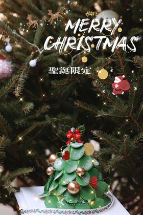 圣诞限定之绿森林（开心果酱草莓蛋糕）