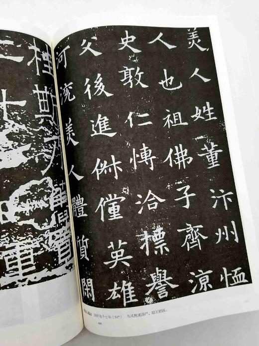 《中国书法名作大典》，16开，平装，1642页，王冬龄著，中国人民大学出版社2015年版，定价198，售价78元。品相95成 商品图13