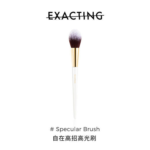 Exacting高招 高光刷 商品图0